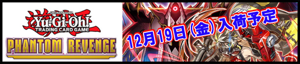 �V�Y���p���