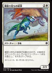 遊戯王 - 遊戯王、mtg買います MTG 通販 | MTGや遊戯王の通販や買取ならファミコンくん