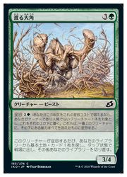 MTG 通販 | MTGや遊戯王の通販や買取ならファミコンくん本店
