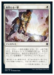 MTG 通販 | MTGや遊戯王の通販や買取ならファミコンくん本店