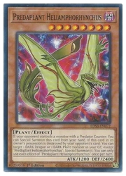 遊戯王 英語版 通販 | MTGや遊戯王の通販や買取ならファミコン