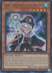 英語版(北米版) 通販 | MTGや遊戯王の通販や買取ならファミコンくん
